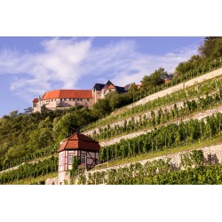 Puzzle "Neuenburg"