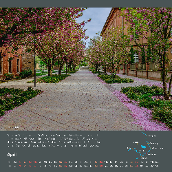 Bildkalender 2026 42cm